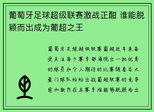 葡萄牙足球超级联赛激战正酣 谁能脱颖而出成为葡超之王